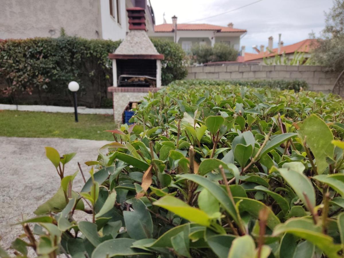Holiday home Elina House Nikiti (Sithonia)